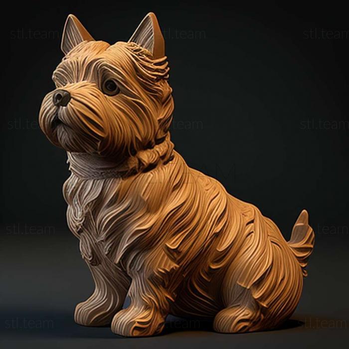 3D модель Норвич терьер собака (STL)